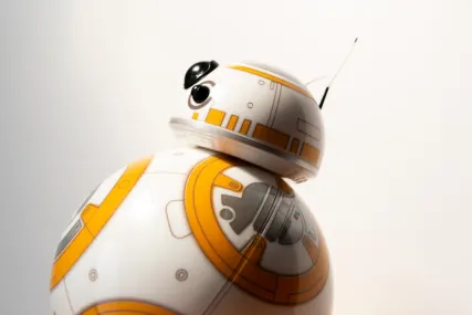 BingoFling Casino Mobilapp